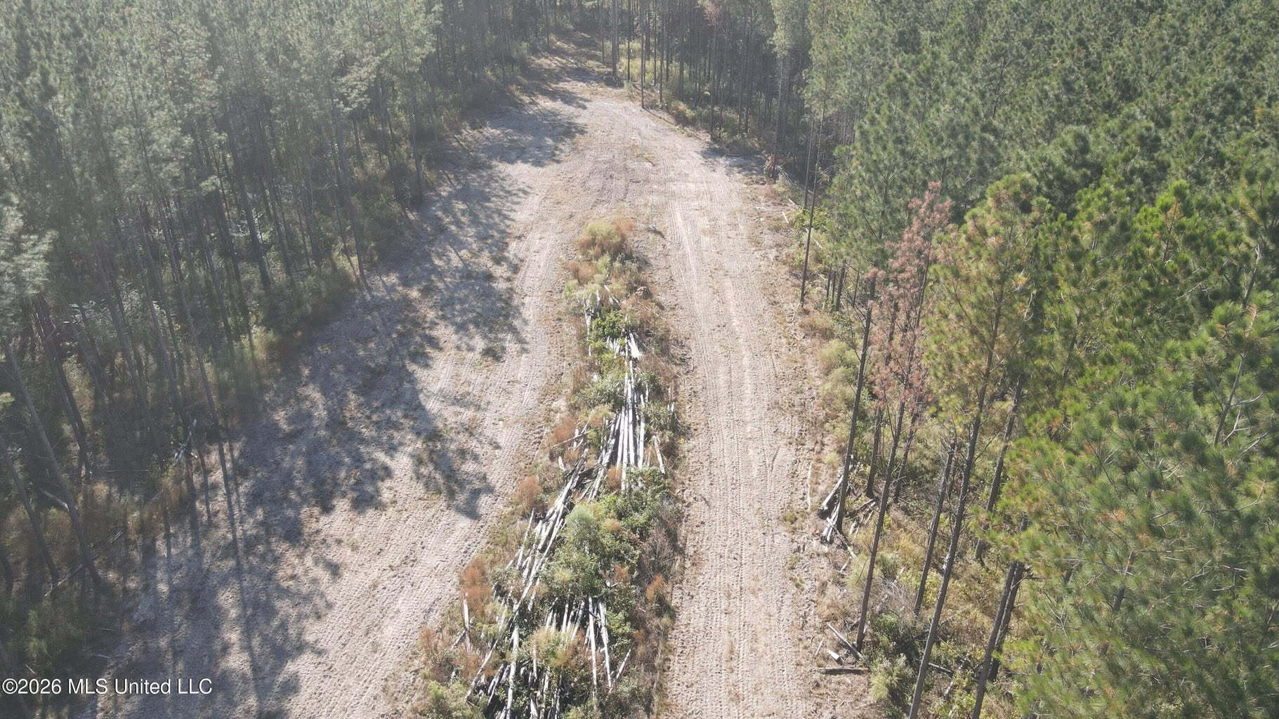 35 Acres for Sale in Pelahatchie, MS | Rankin County