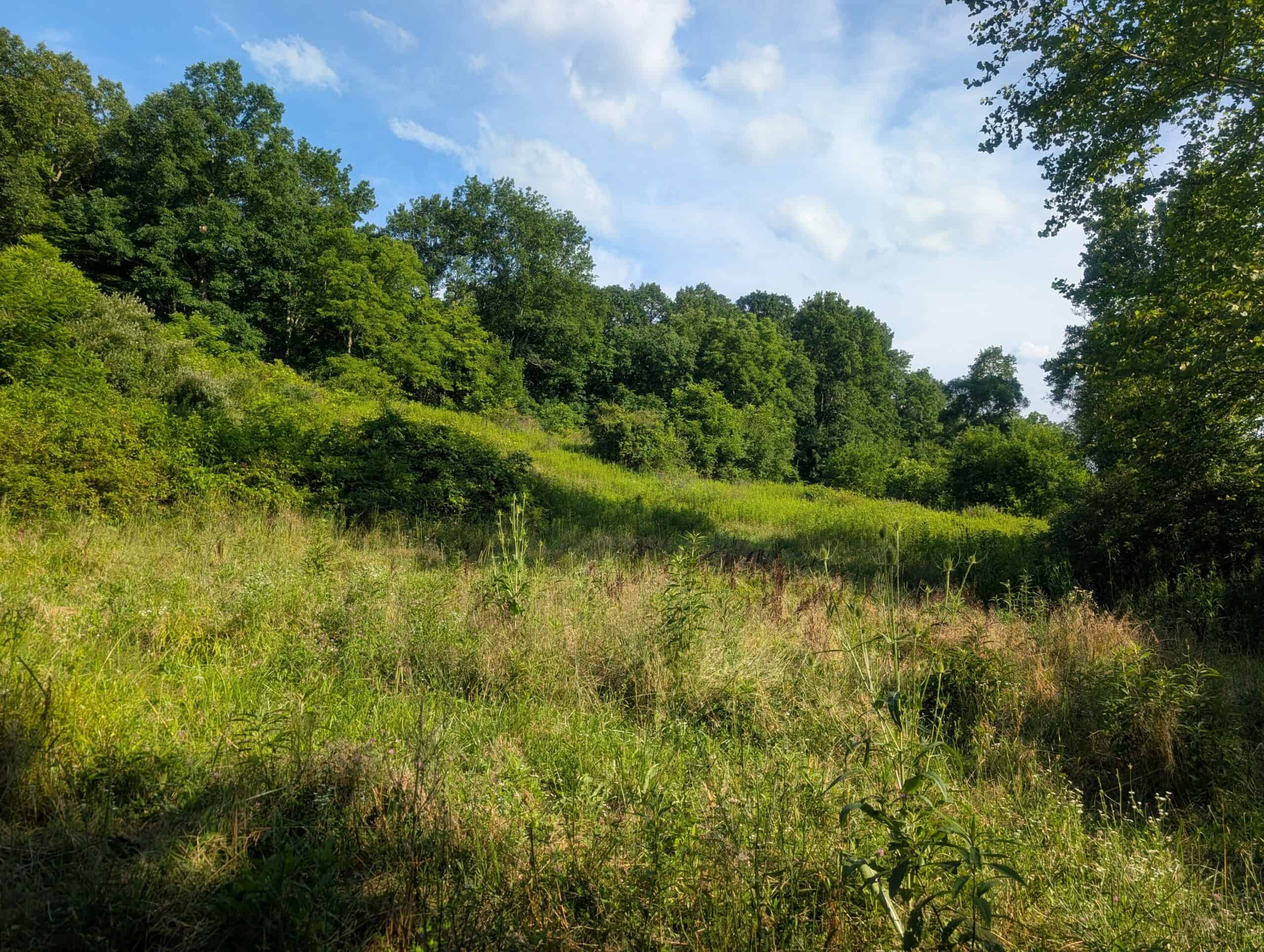 Dream Turnkey Morgan County Hunting Property