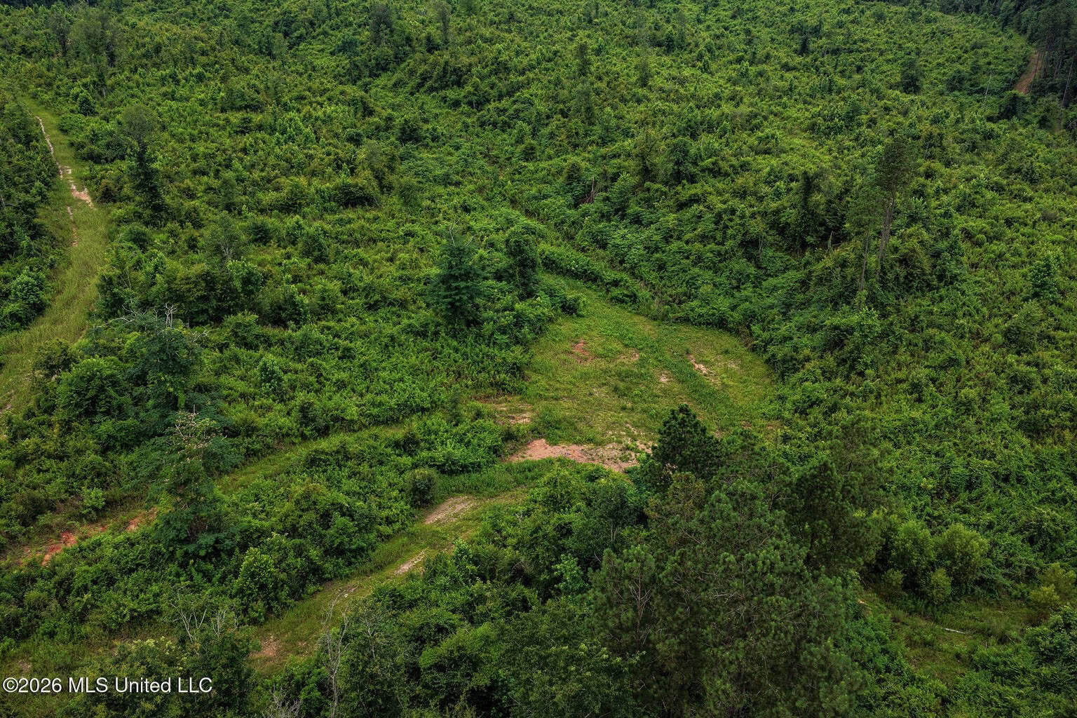63.75 AC Amite County, MS Hunting Property