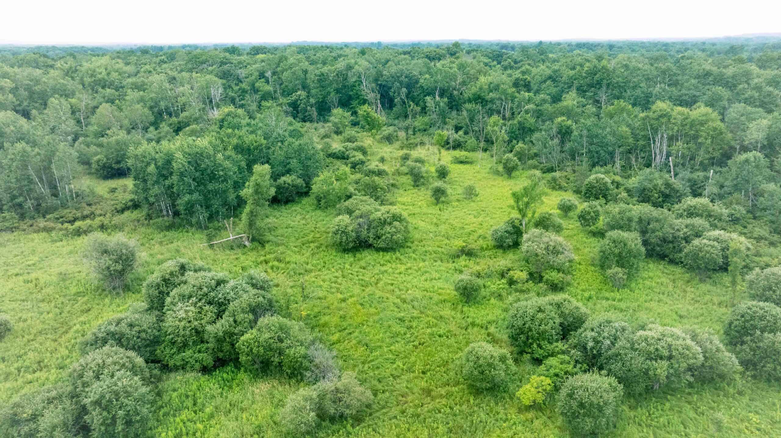 Town of Lewiston Columbia County WI 86+/- Acre Farm brought to you at Online Only Auction