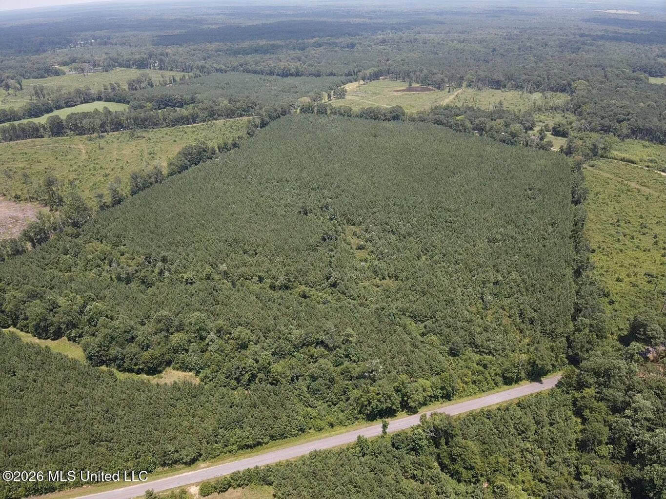 37 Acres for Sale in Morton, MS | Wooded Land
