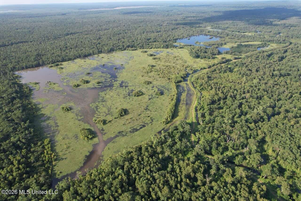 Wilkinson County, MS Hunting Club Membership