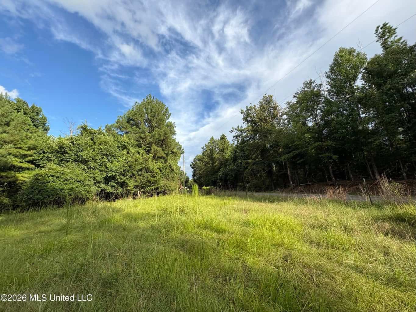 57 Acres Hunting Land for Sale in Gloster MS