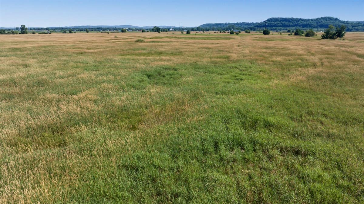 Wisconsin Conservation Land for Sale | 97± Acres in Monroe County