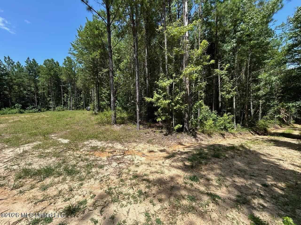 11± Acres in McCall Creek, MS with Creek Frontage
