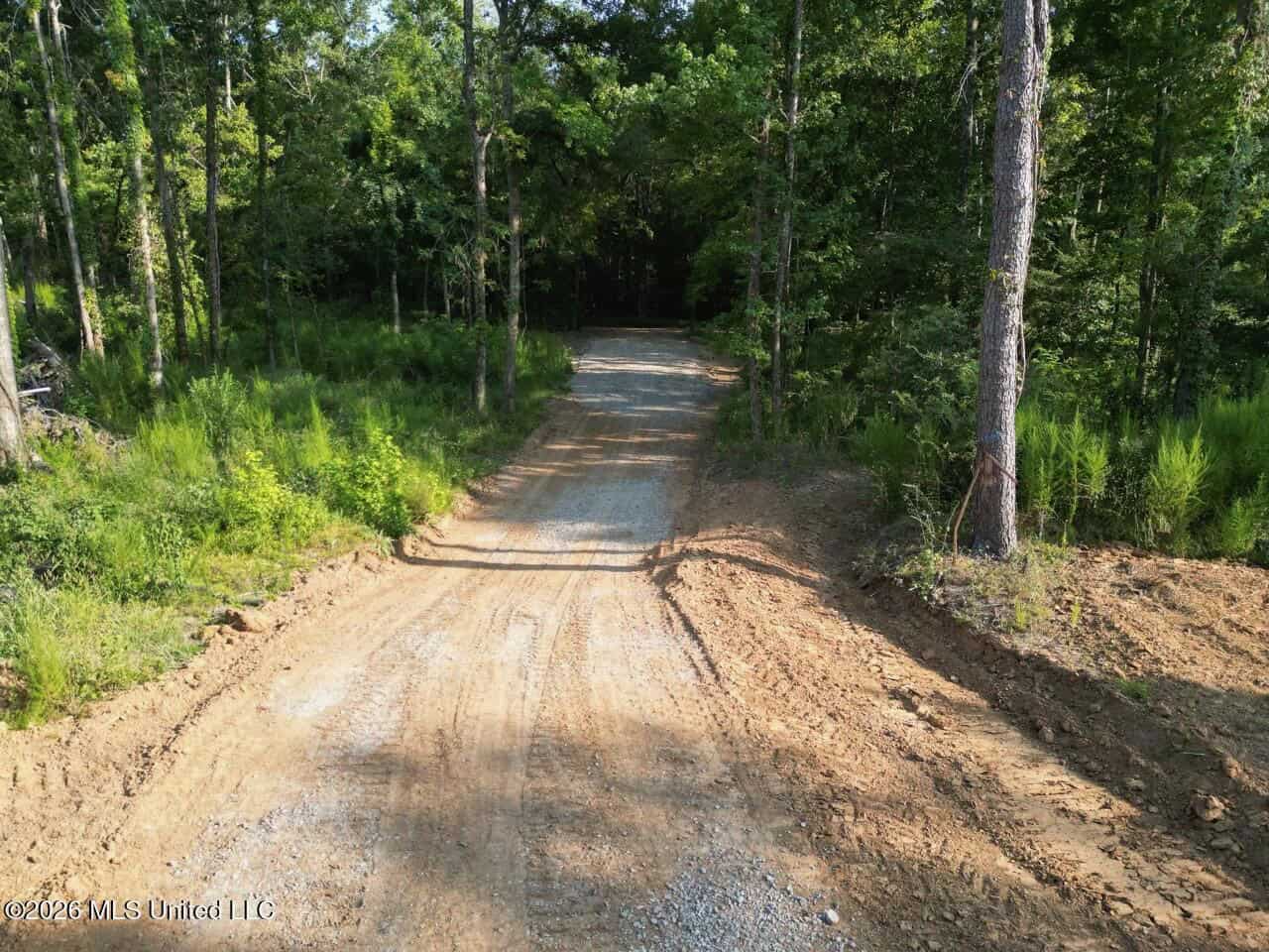 375± Acres in Jefferson County, MS Near Natchez Trace