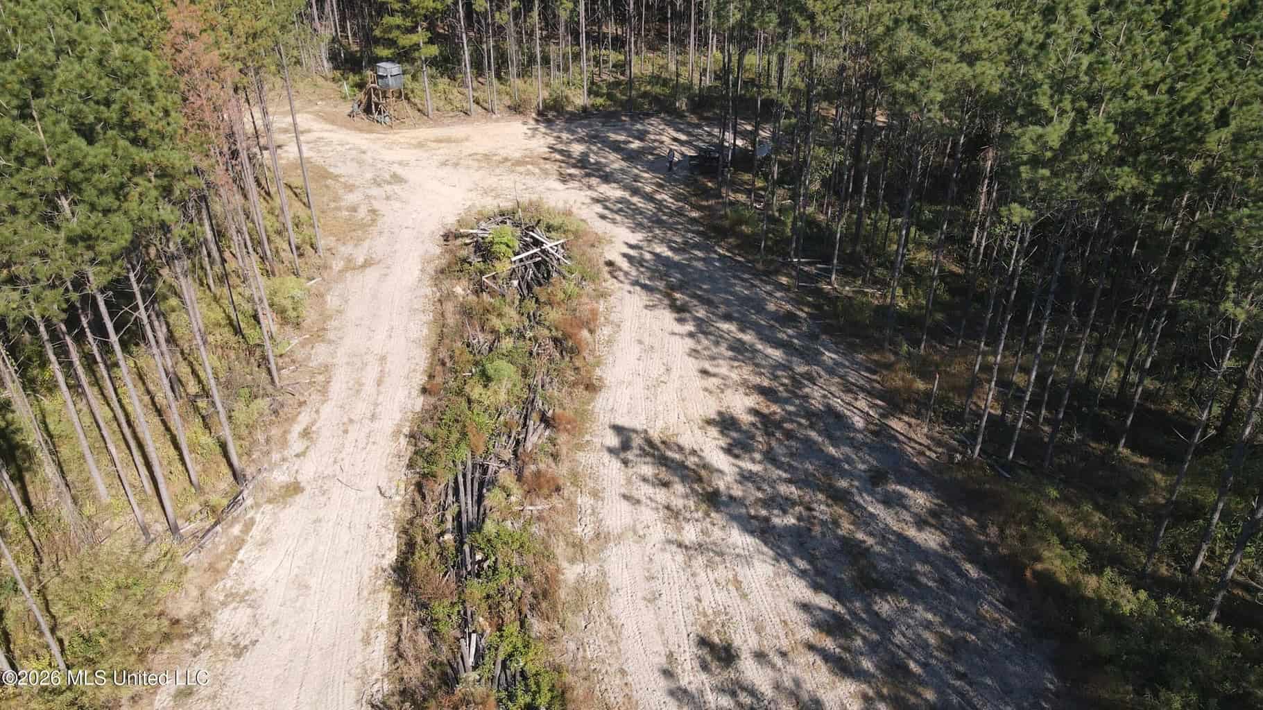 35 Acres for Sale in Pelahatchie, MS | Rankin County
