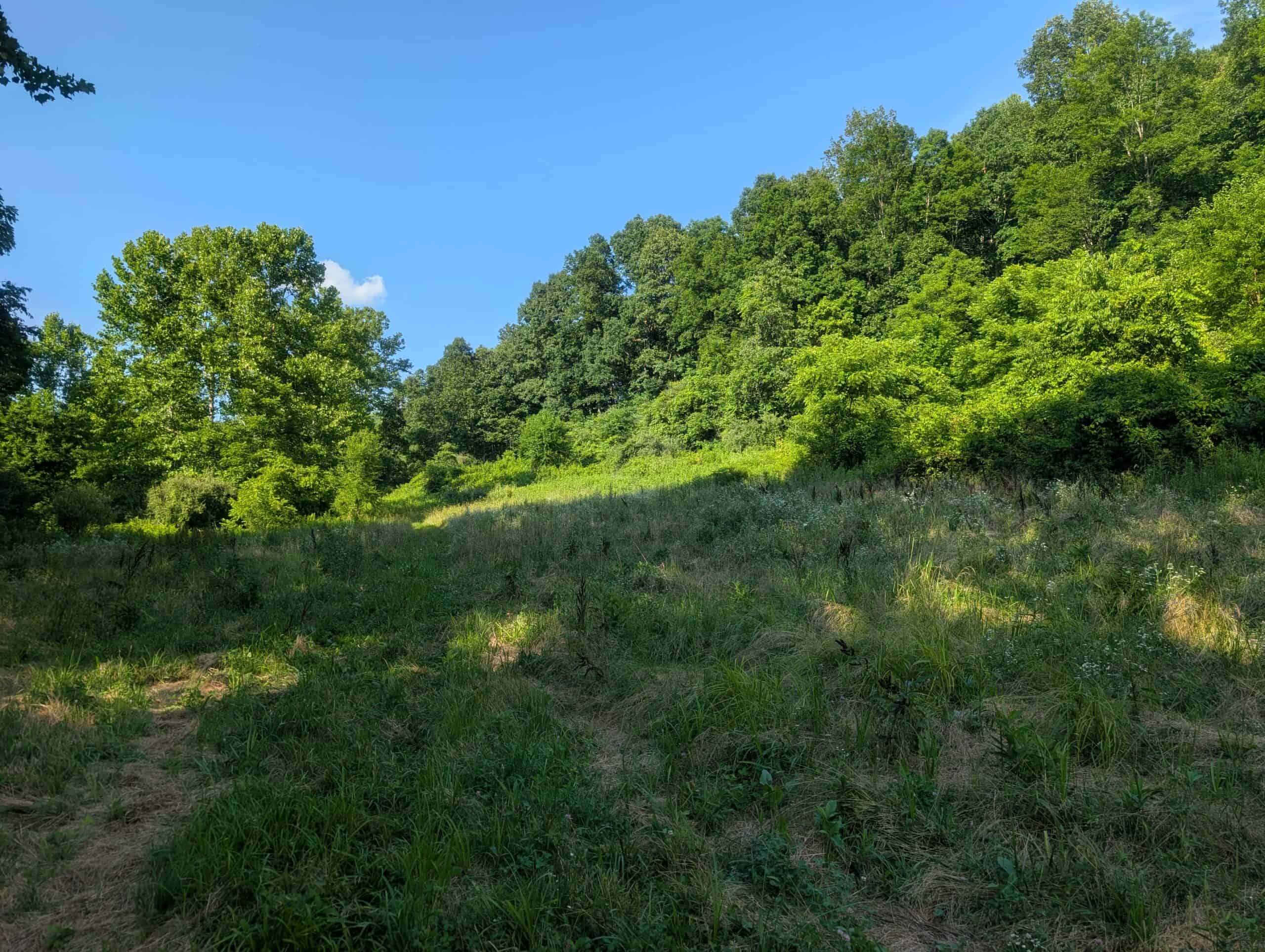 Dream Turnkey Morgan County Hunting Property