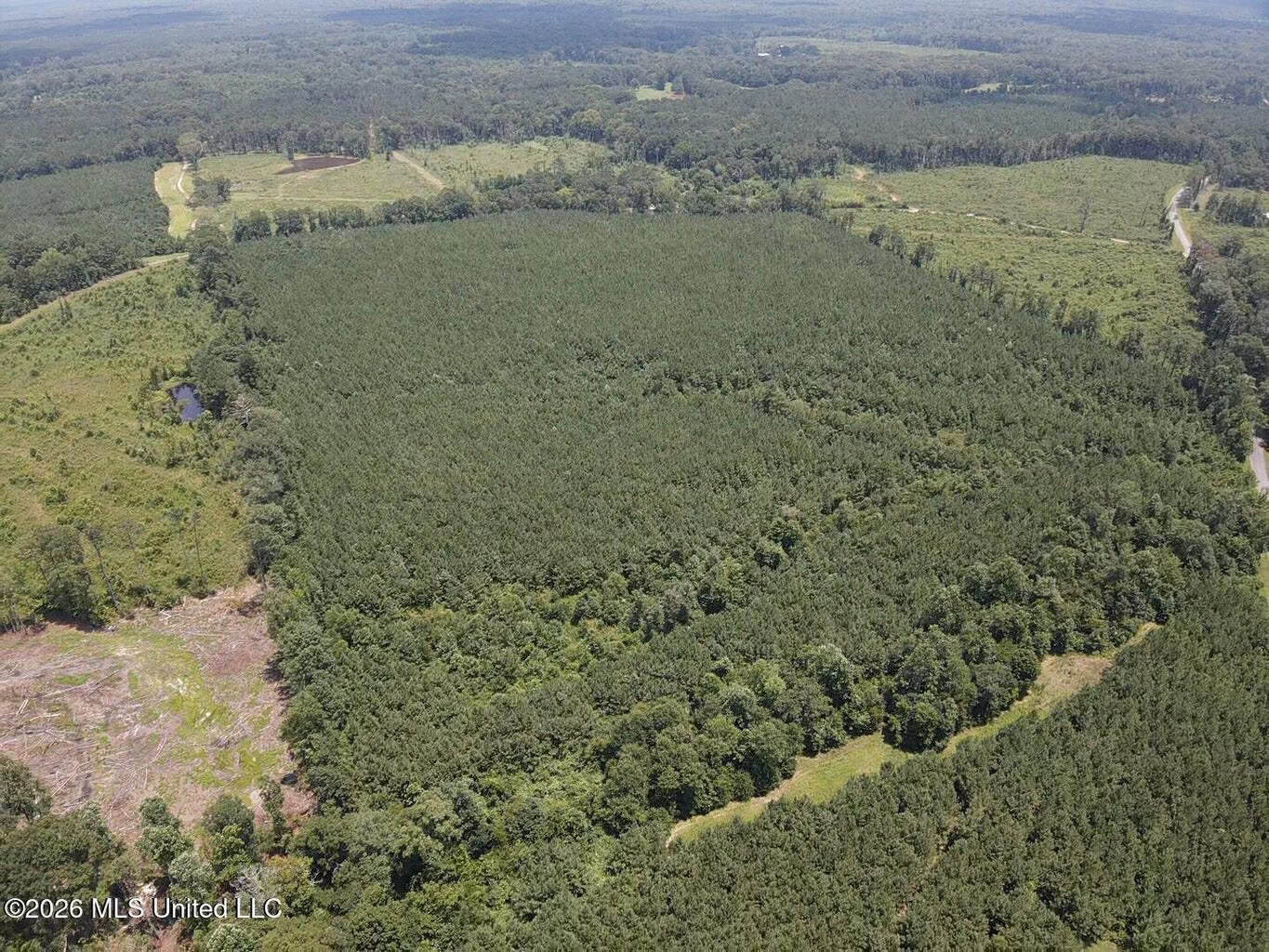 37 Acres for Sale in Morton, MS | Wooded Land