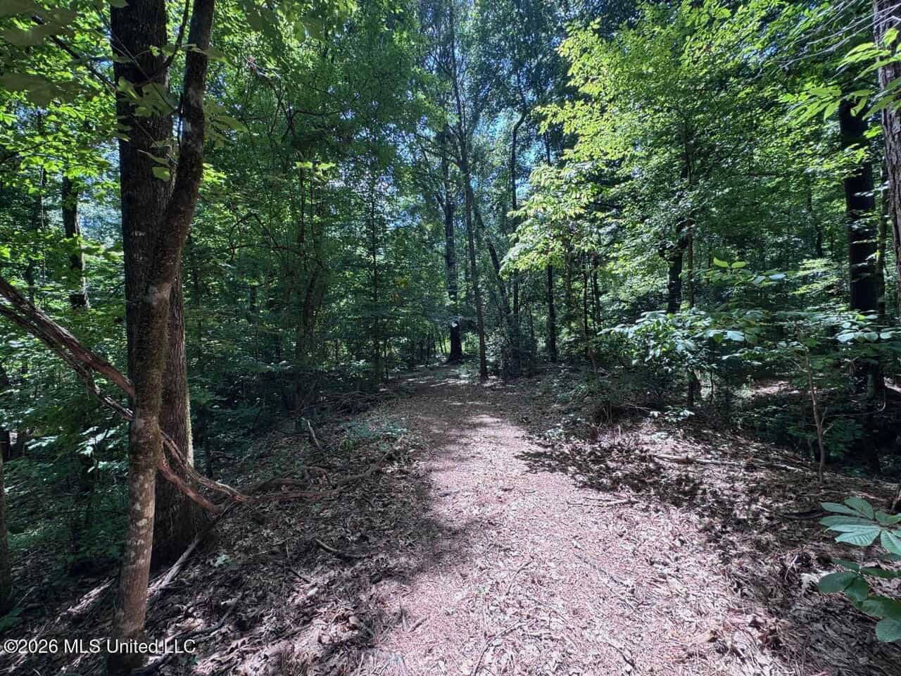 45± Acres in Aimwell, LA with Ford Creek Frontage