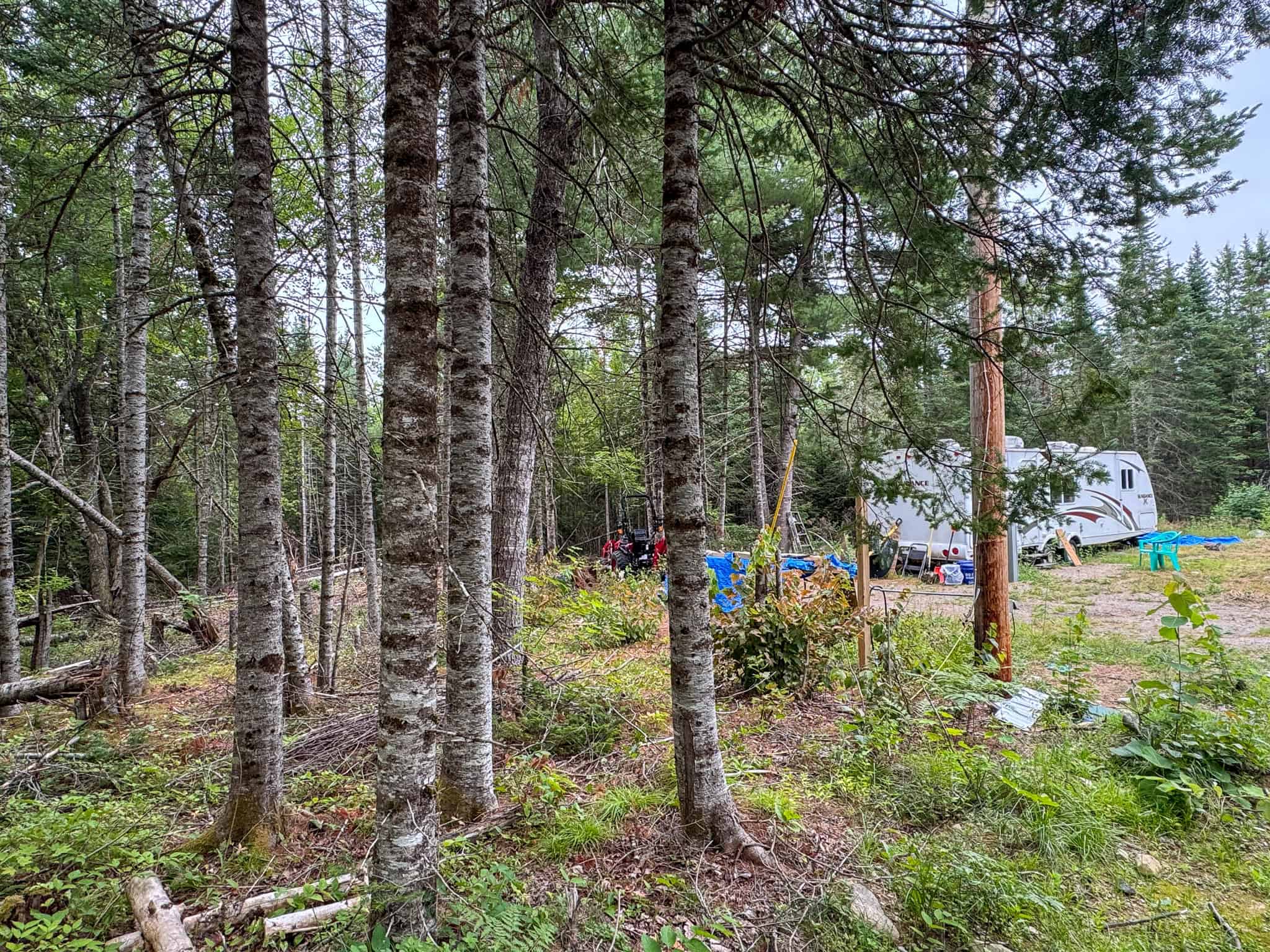 29.5 Acre Private Lot – Springfield, Maine