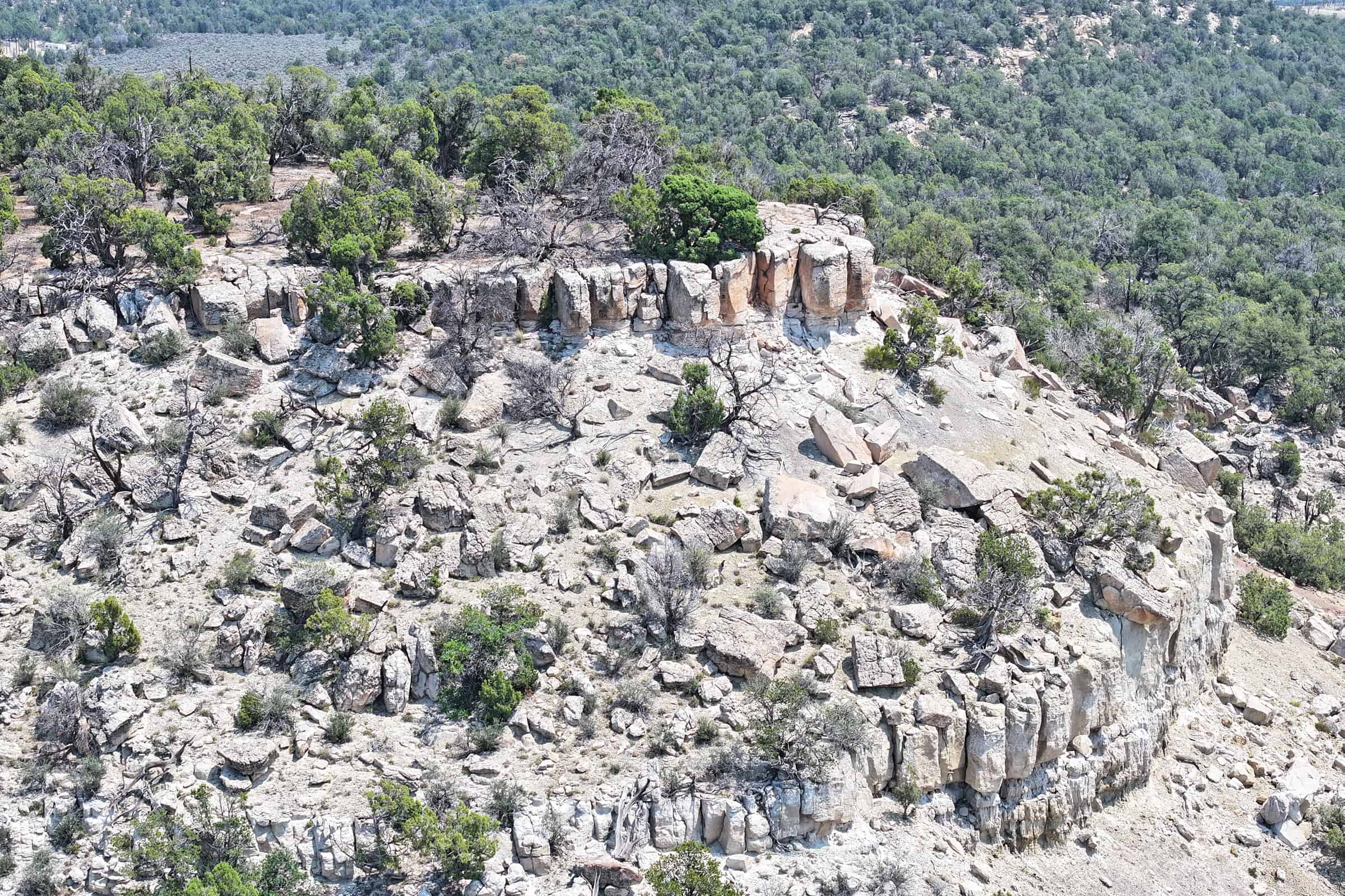 Cabin on 71 Acres in DeBeque Colorado