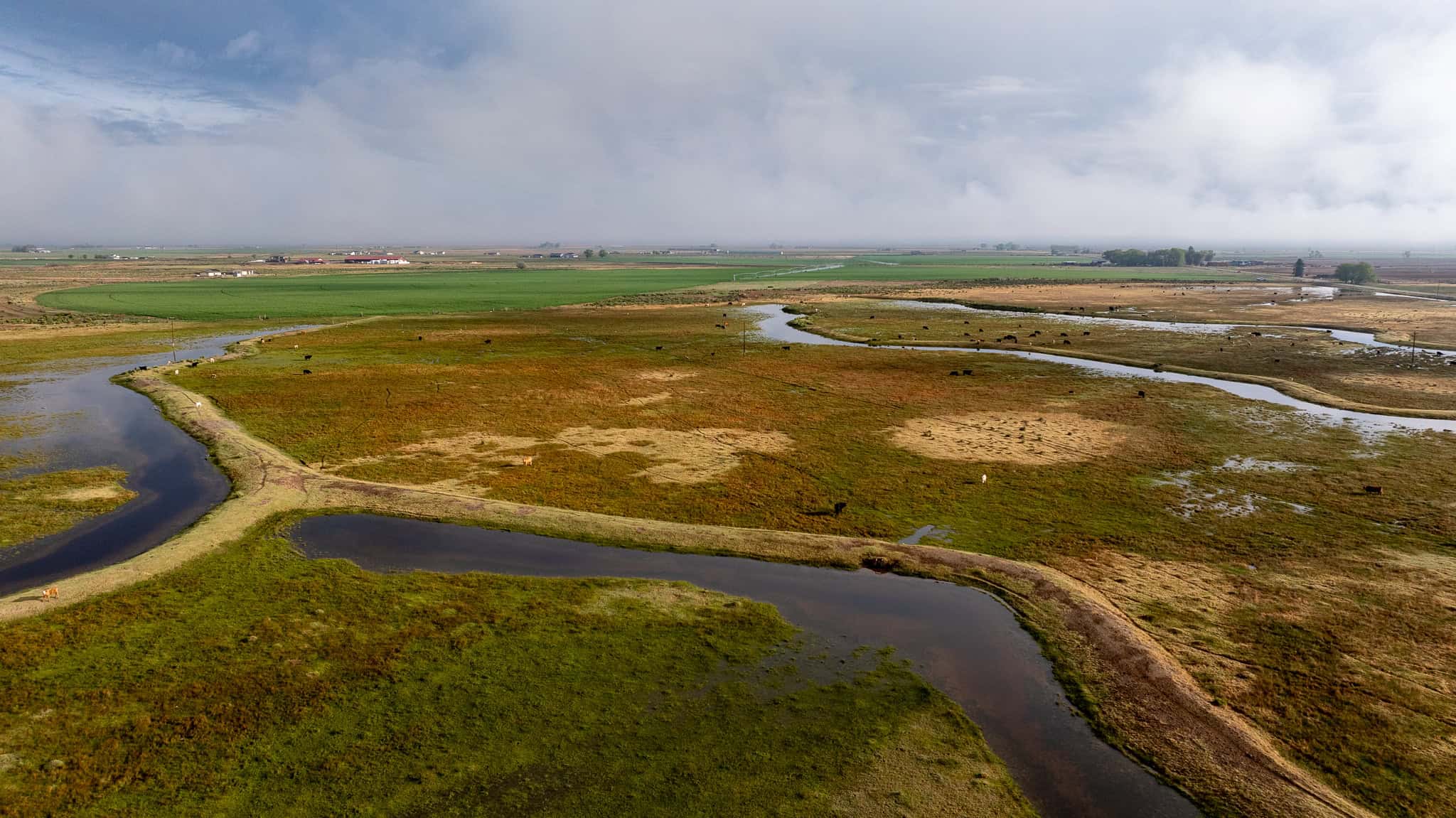 Colorado Alfalfa Farm and Waterfowl Duck Hunting Property