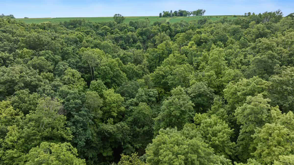 Exceptional 40± acre farm and recreational property