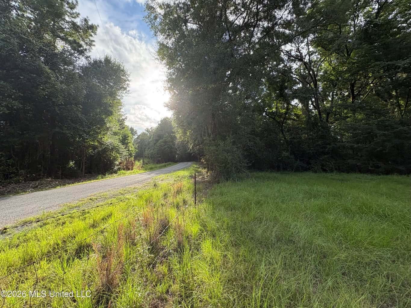 57 Acres Hunting Land for Sale in Gloster MS