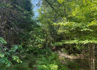 51.2 Acres & Private Cabin in the Maine Woods