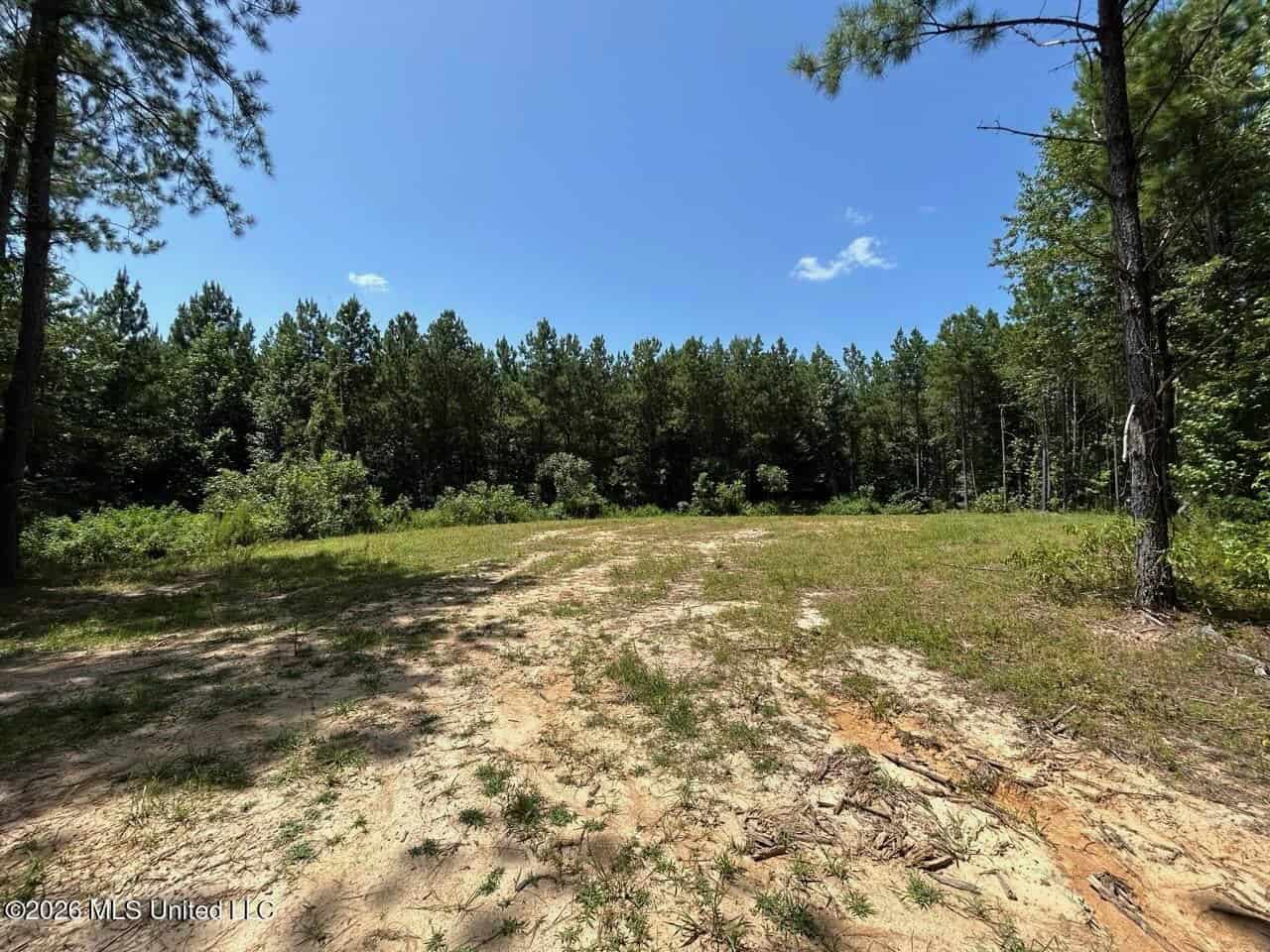 11± Acres in McCall Creek, MS with Creek Frontage