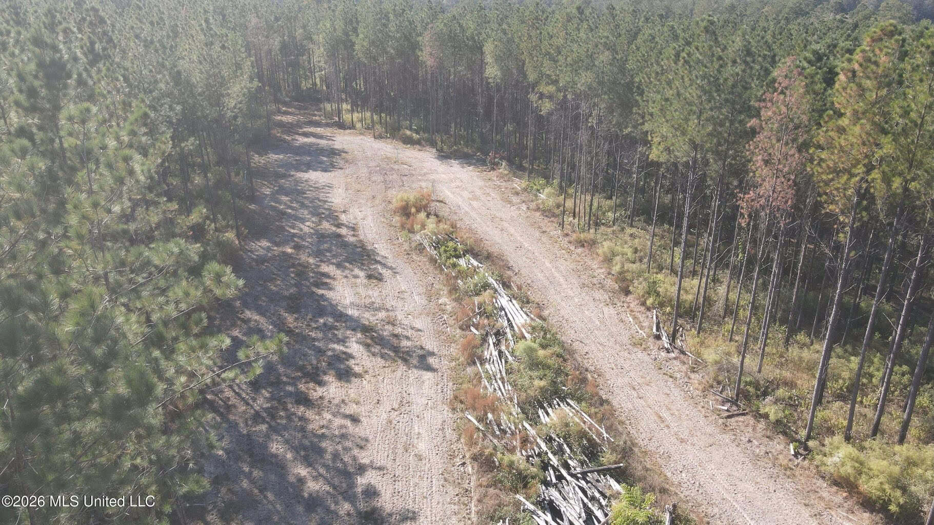 35 Acres for Sale in Pelahatchie, MS | Rankin County