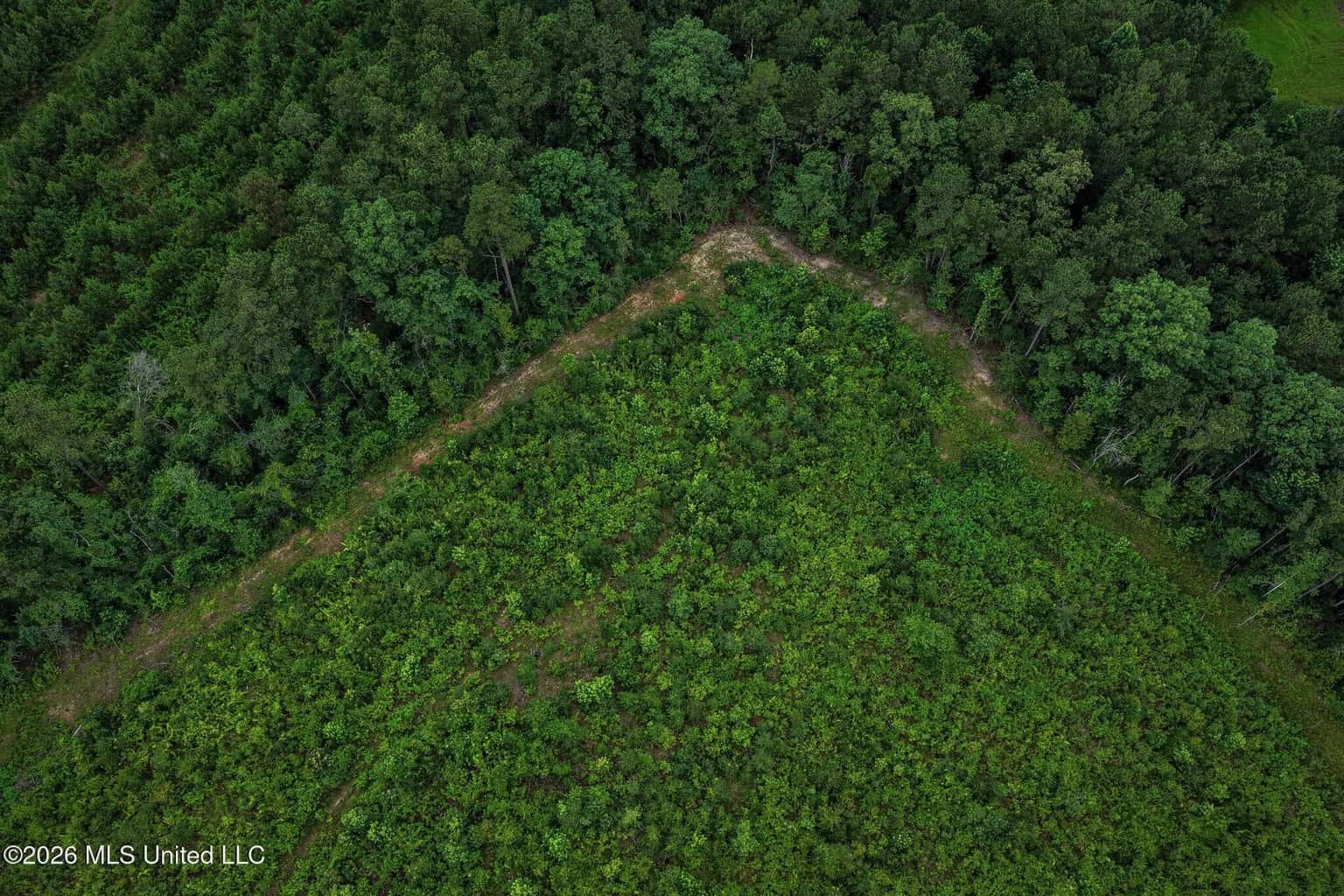 63.75 AC Amite County, MS Hunting Property