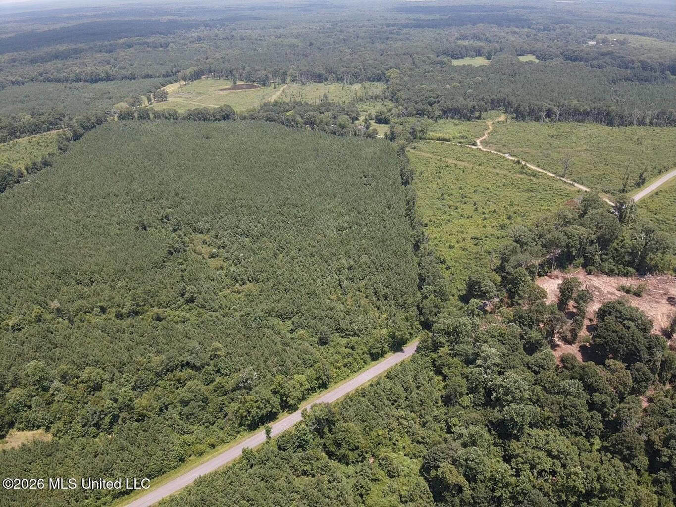 37 Acres for Sale in Morton, MS | Wooded Land