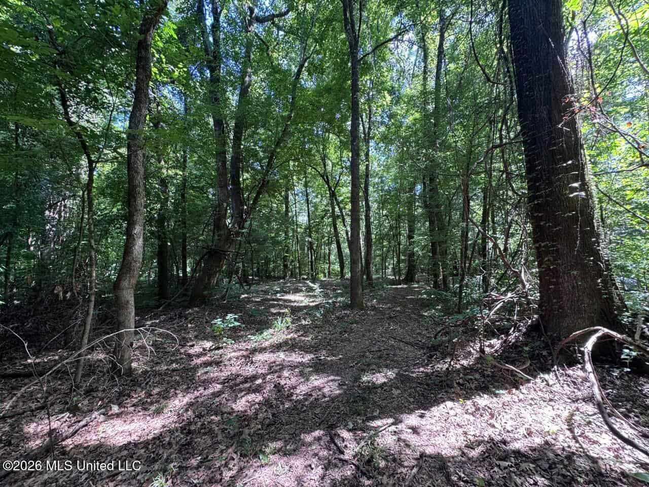 45± Acres in Aimwell, LA with Ford Creek Frontage