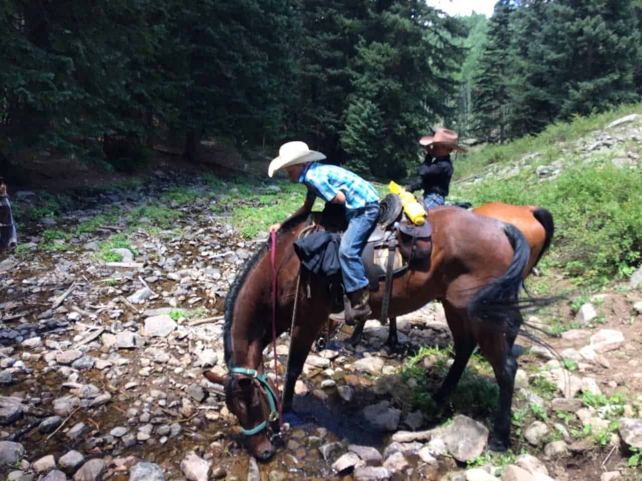 Colorado Wilderness Elk Hunting Outfitting Business for Sale