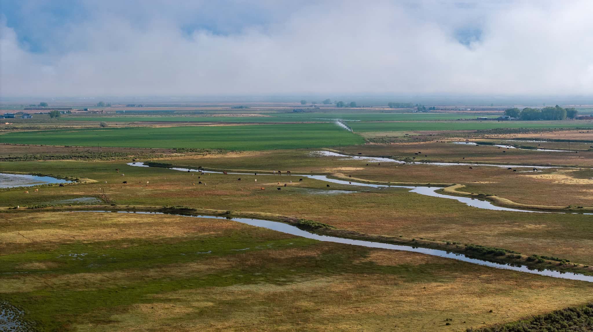 Colorado Alfalfa Farm and Waterfowl Duck Hunting Property