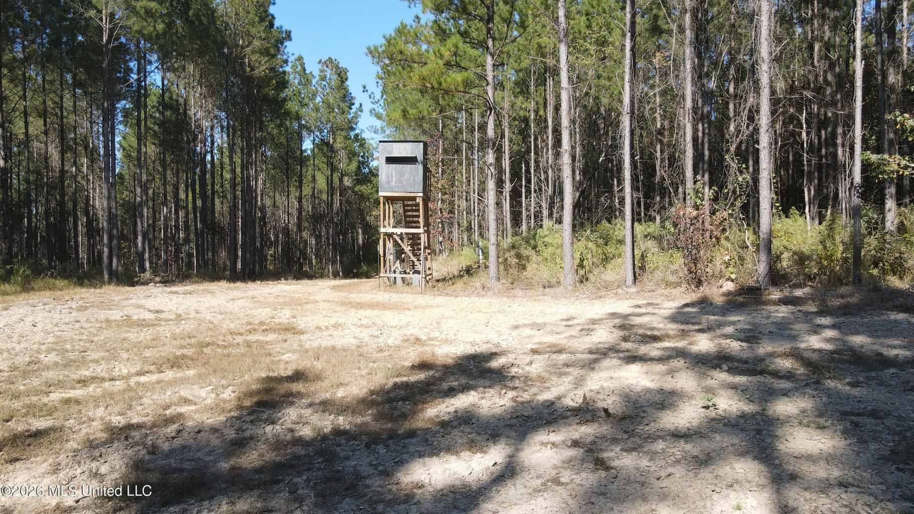 35 Acres for Sale in Pelahatchie, MS | Rankin County