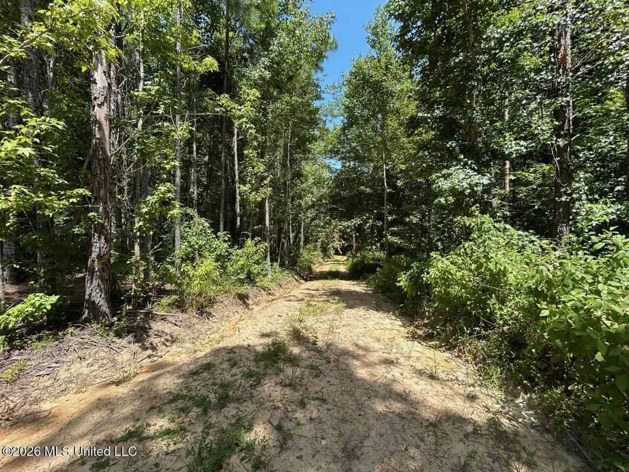 11± Acres in McCall Creek, MS with Creek Frontage