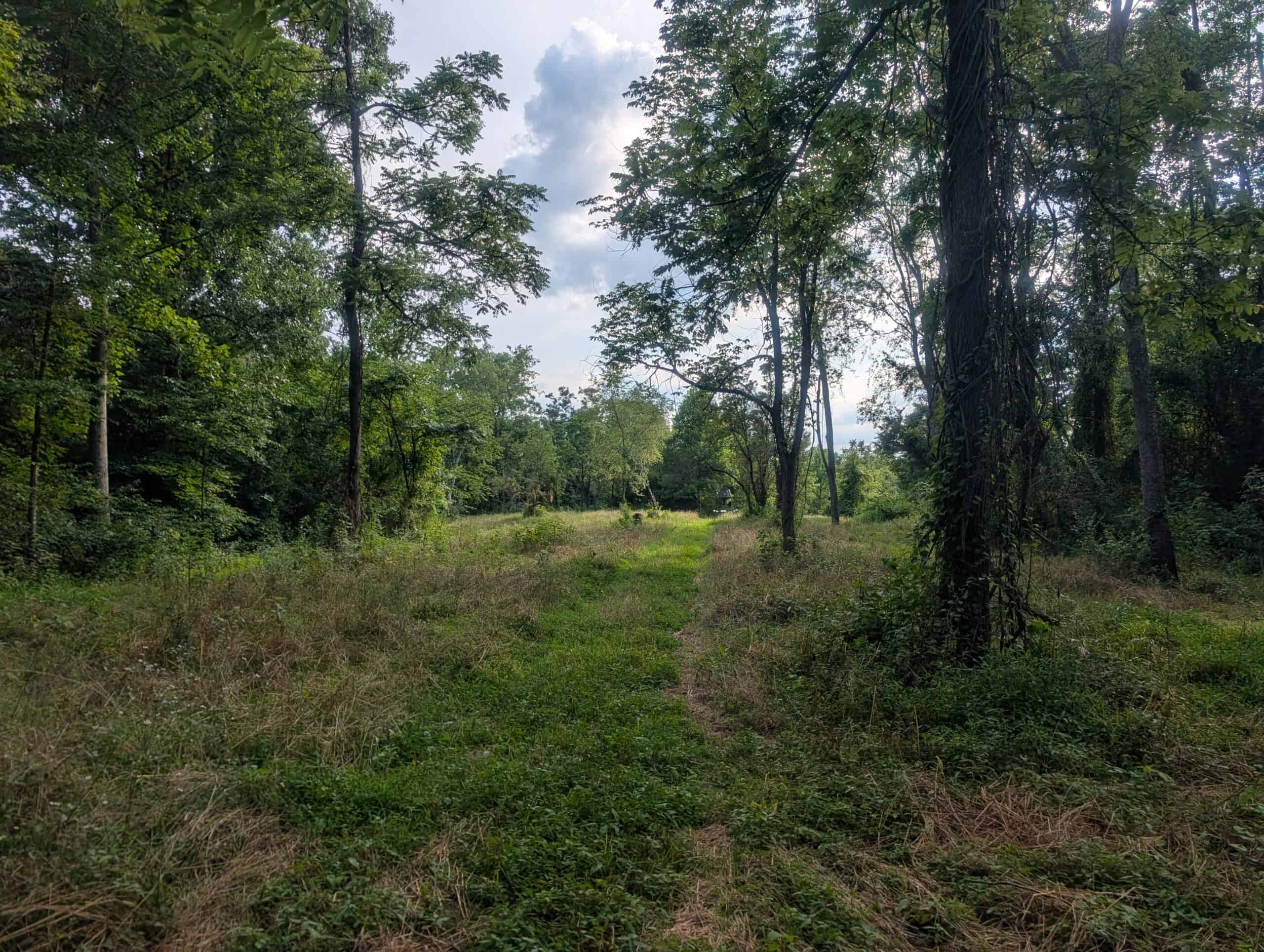 Dream Turnkey Morgan County Hunting Property
