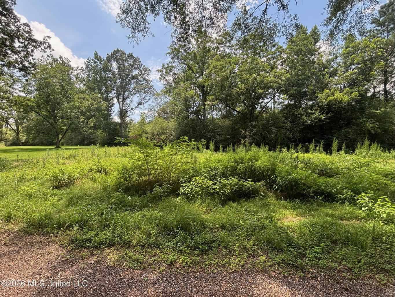 37 Acres for Sale in Morton, MS | Wooded Land