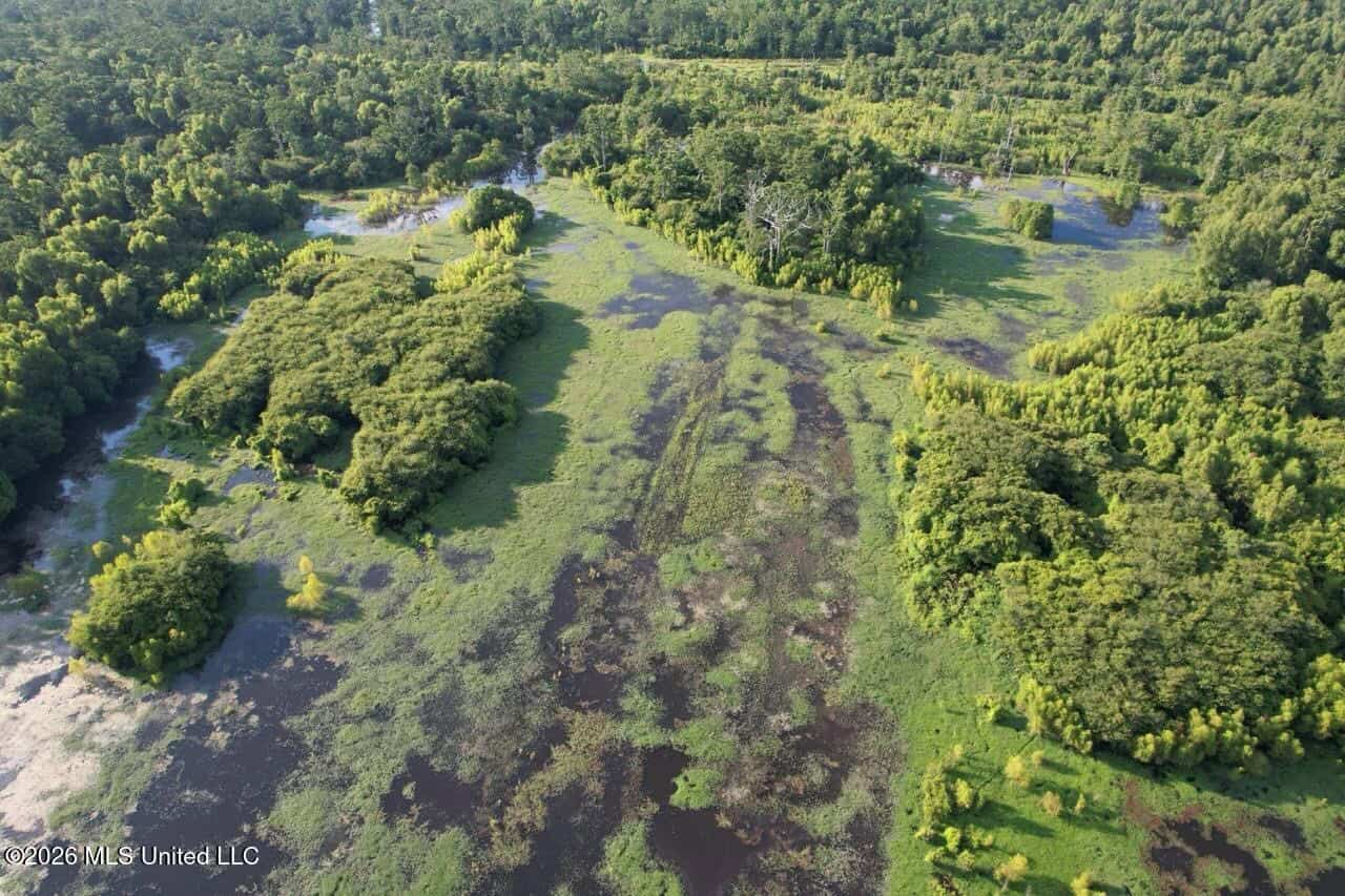 Wilkinson County, MS Hunting Club Membership