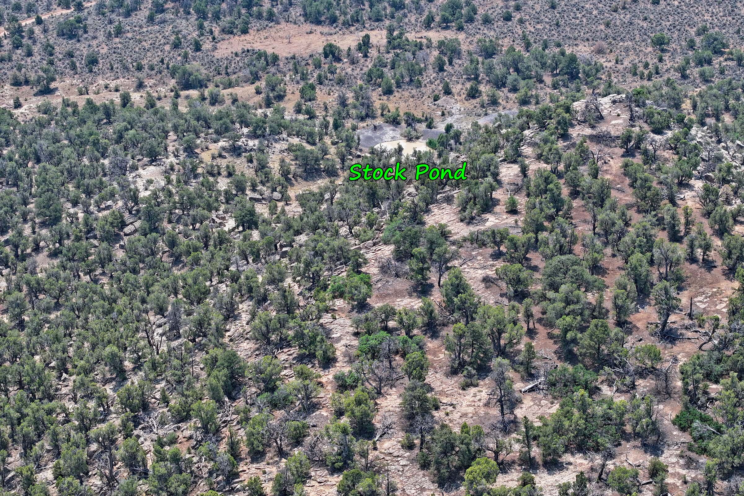 Cabin on 71 Acres in DeBeque Colorado