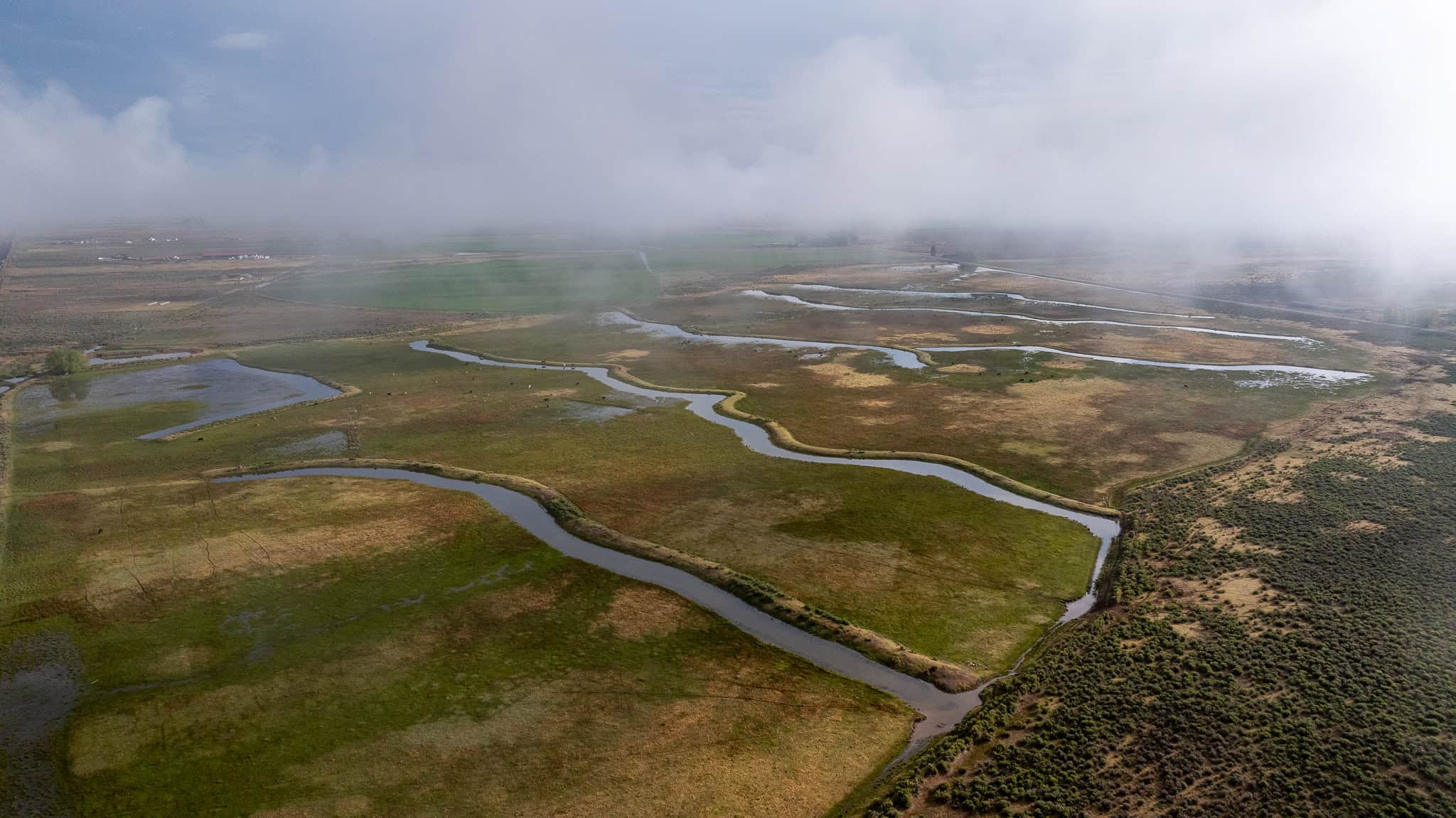 Colorado Alfalfa Farm and Waterfowl Duck Hunting Property