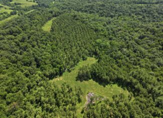 Secluded Turnkey Hunting Property