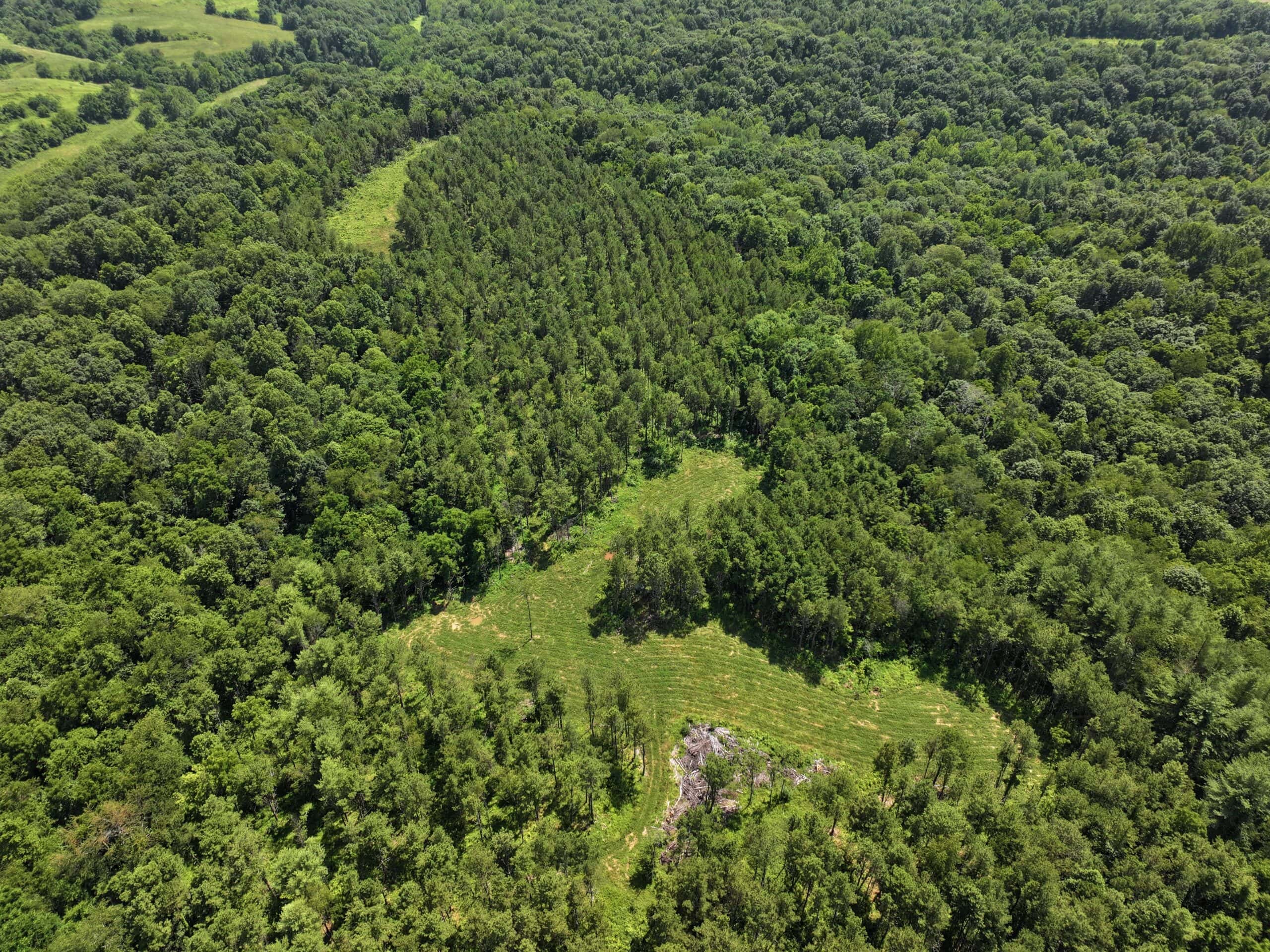 Secluded Turnkey Hunting Property