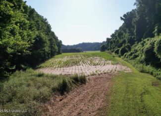 Second Union Hunting Club in Natchez, Mississippi