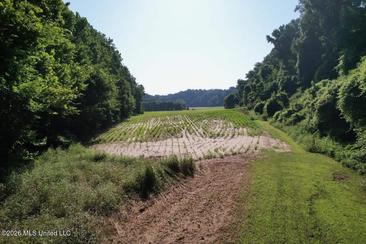 Second Union Hunting Club in Natchez, Mississippi