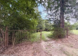 57 Acres Hunting Land for Sale in Gloster MS