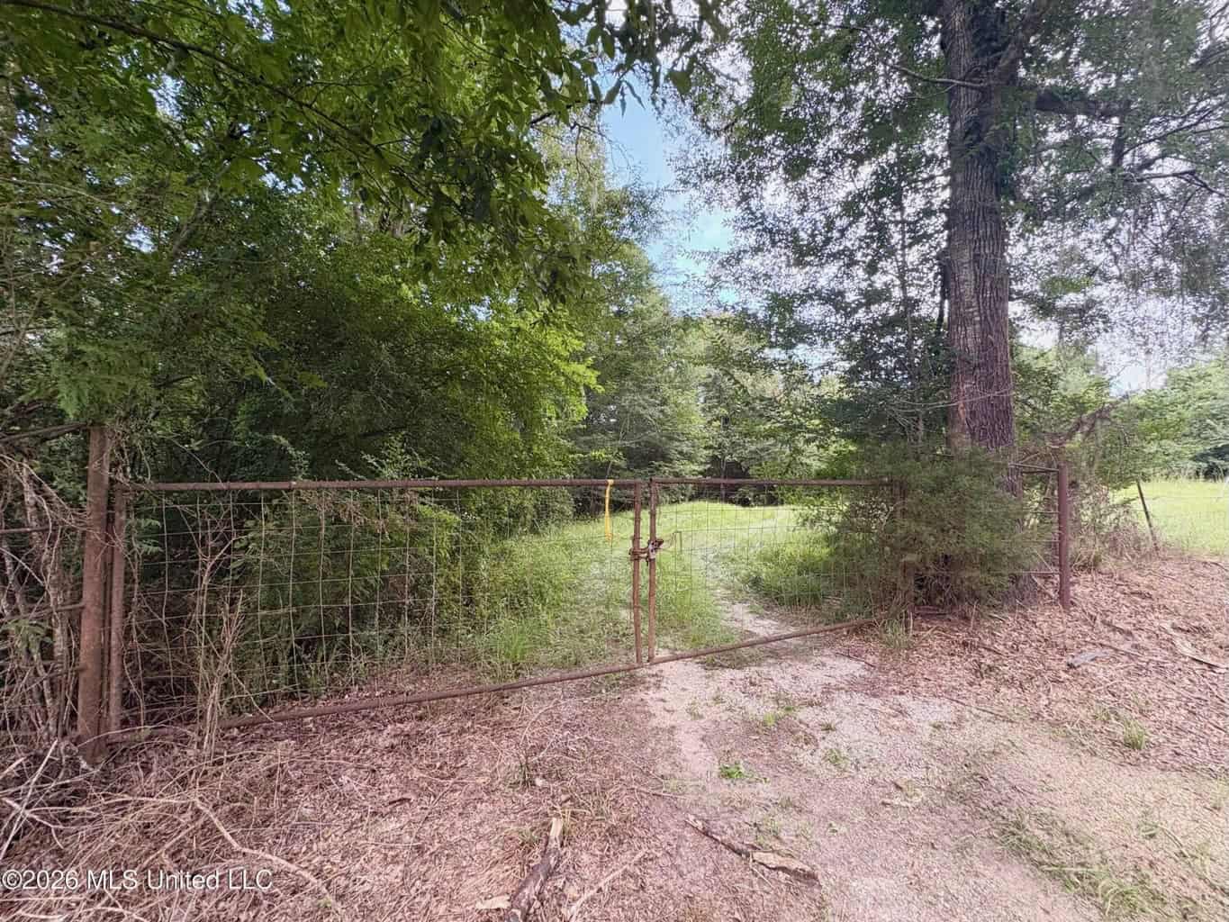 57 Acres Hunting Land for Sale in Gloster MS