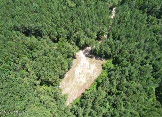 11± Acres in McCall Creek, MS with Creek Frontage