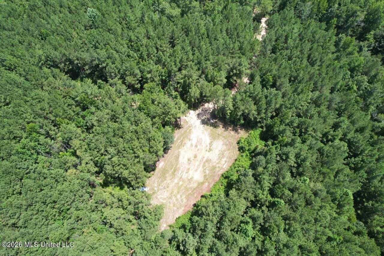 11± Acres in McCall Creek, MS with Creek Frontage