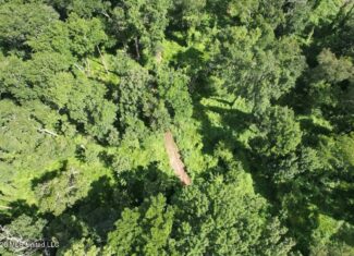 140± Acres in West Feliciana Parish, LA