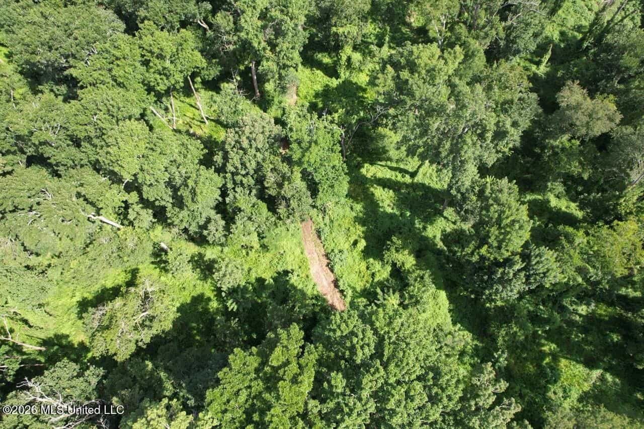 140± Acres in West Feliciana Parish, LA