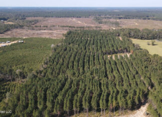 35 Acres for Sale in Pelahatchie, MS | Rankin County