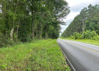Tuckers Crossing 31 – Land for Sale Jones County, MS