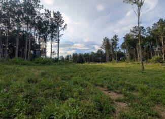 Secluded Turnkey Hunting Property