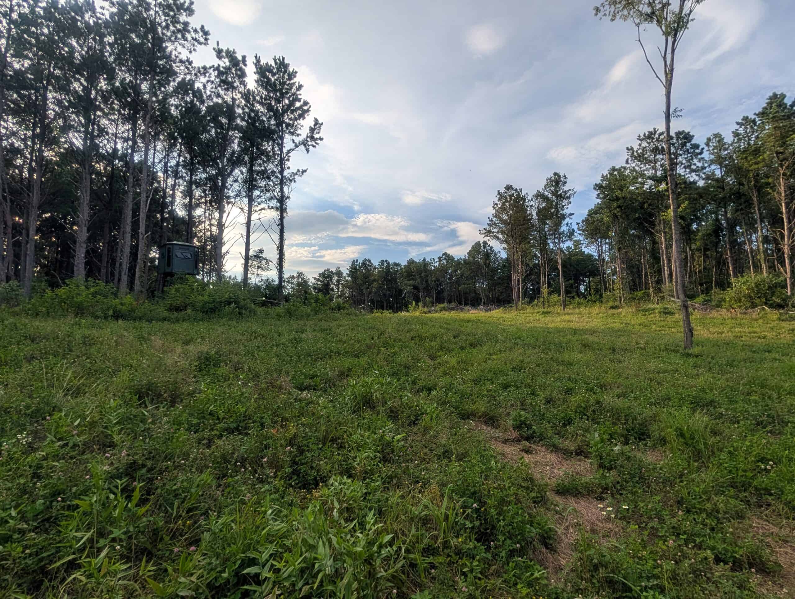 Secluded Turnkey Hunting Property