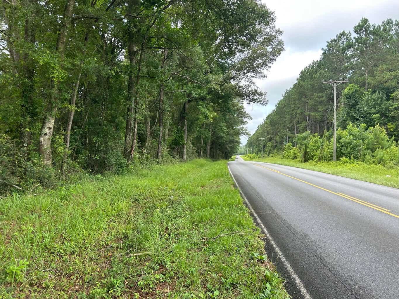Tuckers Crossing 31 – Land for Sale Jones County, MS