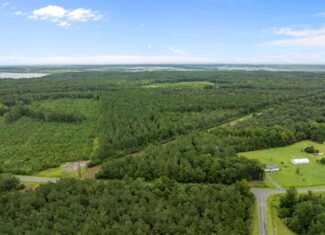 115 Acres of Hunting & Timberland for Sale in NC